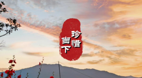 生命如风,珍惜当下每一分每一秒