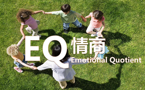 孩子成功20%靠智商,80%靠这些关键能力