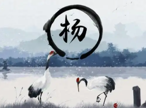 遇事总爱反复纠结?1个五行好名如何暗中切断精神内耗